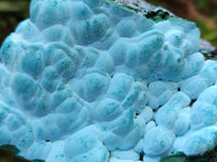 Natural Malachite Malacolla Botryoidal Chrysocolla Specimens x 2 From Kulukuluku, Congo