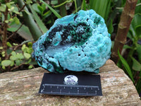 Natural Malachite Malacolla Botryoidal Chrysocolla Specimens x 2 From Kulukuluku, Congo