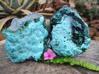 Natural Malachite Malacolla Botryoidal Chrysocolla Specimens x 2 From Kulukuluku, Congo