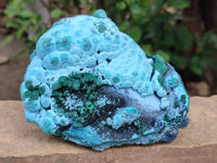 Natural Malachite Malacolla Botryoidal Chrysocolla Specimens x 2 From Kulukuluku, Congo