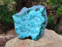 Natural Malachite Malacolla Botryoidal Chrysocolla Specimens x 2 From Kulukuluku, Congo