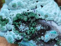Natural Malachite Malacolla Botryoidal Chrysocolla Specimens x 2 From Kulukuluku, Congo