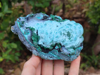 Natural Malachite Malacolla Botryoidal Chrysocolla Specimens x 2 From Kulukuluku, Congo