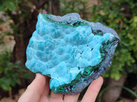 Natural Malachite Malacolla Botryoidal Chrysocolla Specimens x 2 From Kulukuluku, Congo