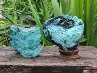 Natural Malachite Malacolla Botryoidal Chrysocolla Specimens x 2 From Kulukuluku, Congo