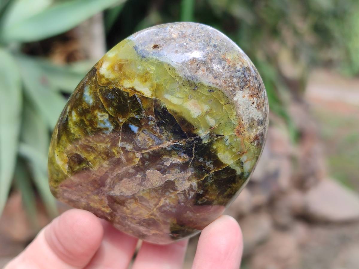 Polished Green Opal Standing Free Forms x 6 From Betroka, Madagascar - Toprock Gemstones and Minerals 