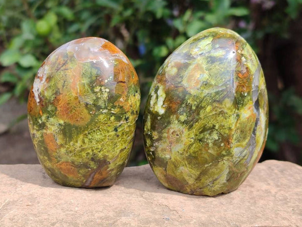 Polished Green Opal Standing Free Forms x 6 From Betroka, Madagascar