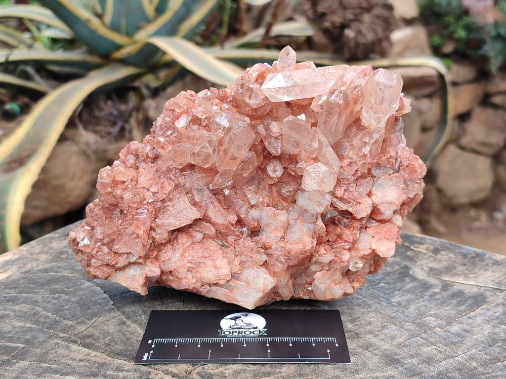 Natural Quartz Clusters x 2 From Mpika, Zambia - Toprock Gemstones and Minerals 