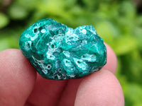 Polished Dioptase Free Forms x 35 From Likasi, Congo