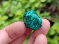 Polished Dioptase Free Forms x 35 From Likasi, Congo