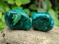 Polished Dioptase Free Forms x 35 From Likasi, Congo