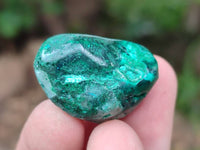 Polished Dioptase Free Forms x 35 From Likasi, Congo