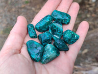 Polished Dioptase Free Forms x 35 From Likasi, Congo