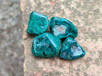 Polished Dioptase Free Forms x 35 From Likasi, Congo