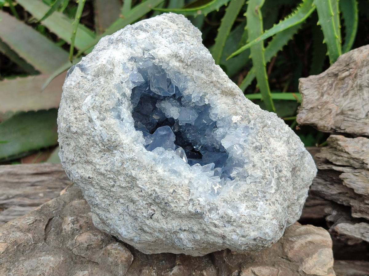 Natural Blue Celestite Geode Specimen x 1 From Sakoany, Madagascar - Toprock Gemstones and Minerals 