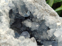 Natural Blue Celestite Geode Specimen x 1 From Sakoany, Madagascar