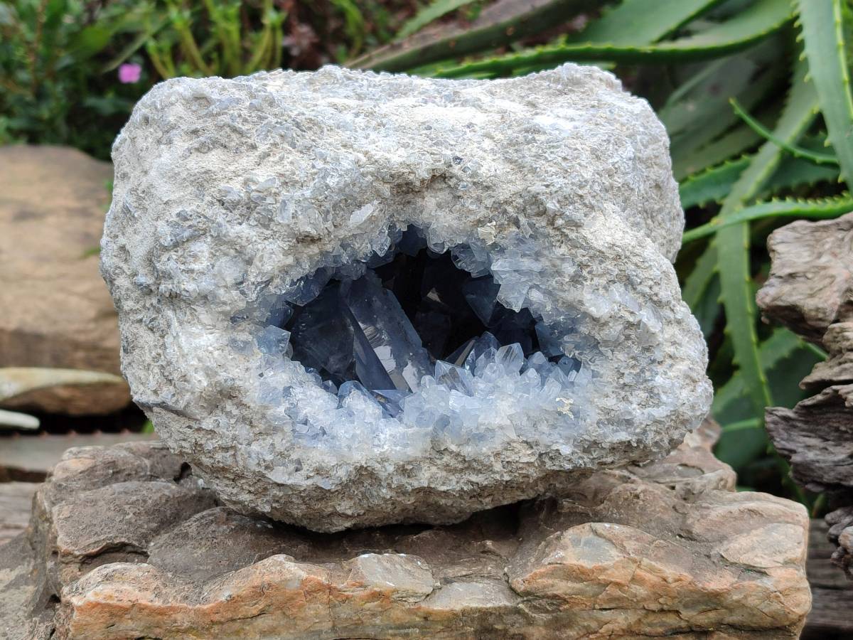 Natural Blue Celestite Geode Specimen x 1 From Sakoany, Madagascar - Toprock Gemstones and Minerals 