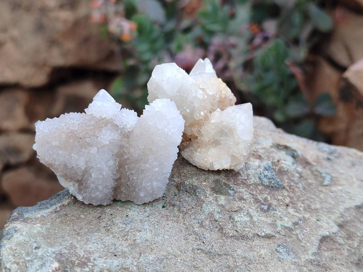 Natural White Spirit Quartz Crystals x 35 From Boekenhouthoek, South Africa - Toprock Gemstones and Minerals 