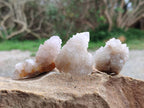 Natural White Spirit Quartz Crystals x 35 From Boekenhouthoek, South Africa - Toprock Gemstones and Minerals 