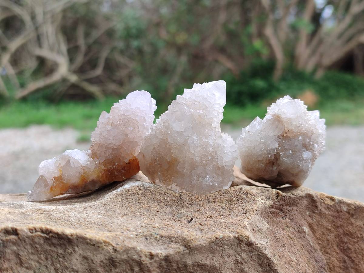 Natural White Spirit Quartz Crystals x 35 From Boekenhouthoek, South Africa - Toprock Gemstones and Minerals 