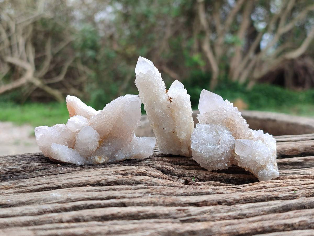 Natural White Spirit Quartz Crystals x 35 From Boekenhouthoek, South Africa - Toprock Gemstones and Minerals 