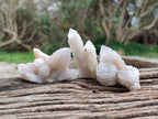 Natural White Spirit Quartz Crystals x 35 From Boekenhouthoek, South Africa - Toprock Gemstones and Minerals 