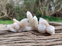 Natural White Spirit Quartz Crystals x 35 From Boekenhouthoek, South Africa