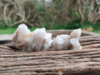 Natural White Spirit Quartz Crystals x 35 From Boekenhouthoek, South Africa - Toprock Gemstones and Minerals 
