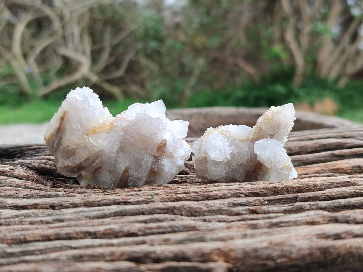 Natural White Spirit Quartz Crystals x 35 From Boekenhouthoek, South Africa - Toprock Gemstones and Minerals 