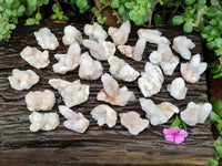 Natural White Spirit Quartz Crystals x 35 From Boekenhouthoek, South Africa