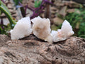 Natural White Spirit Quartz Crystals x 35 From Boekenhouthoek, South Africa - Toprock Gemstones and Minerals 