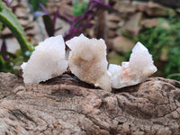 Natural White Spirit Quartz Crystals x 35 From Boekenhouthoek, South Africa