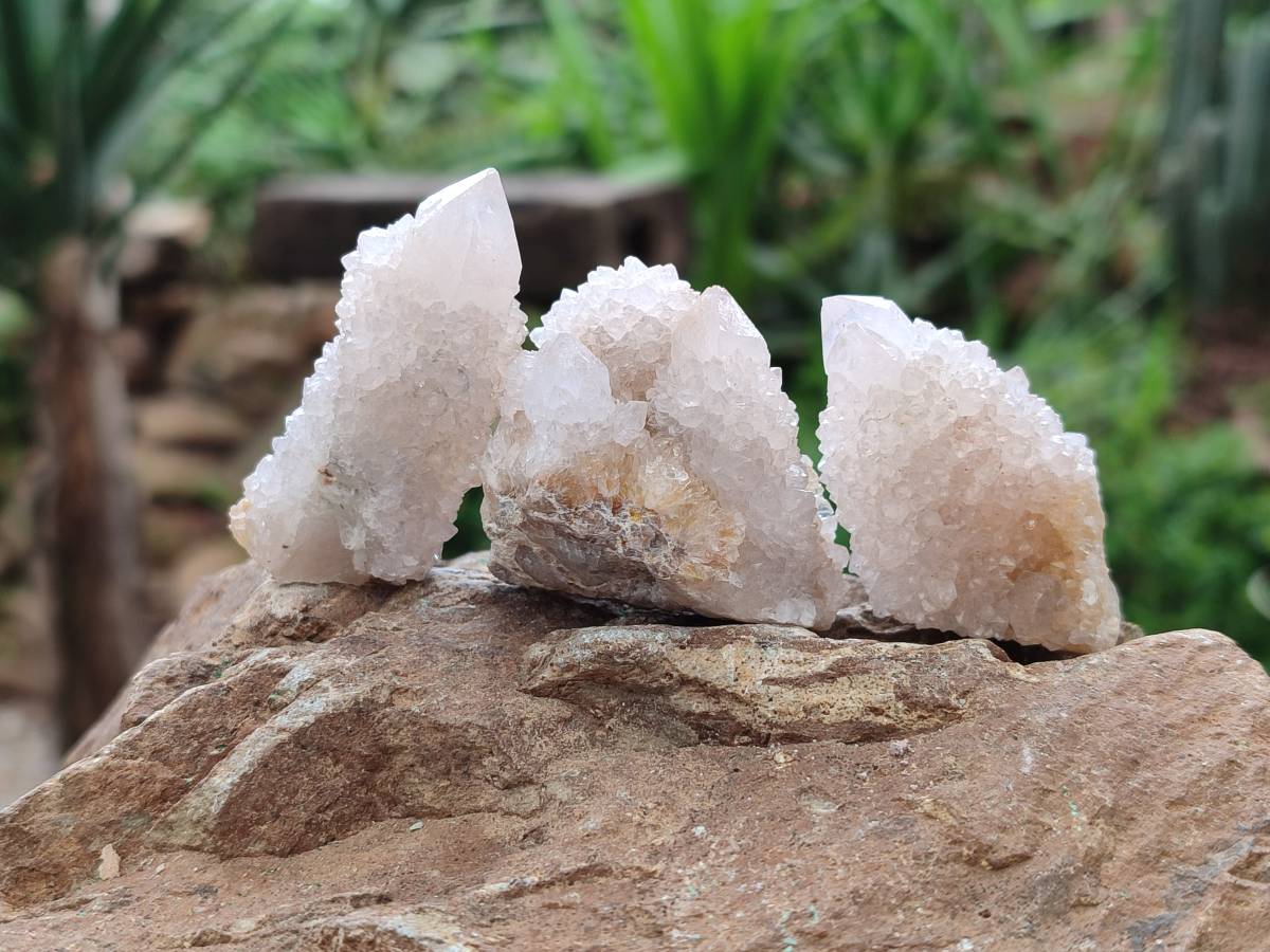 Natural White Spirit Quartz Crystals x 35 From Boekenhouthoek, South Africa - Toprock Gemstones and Minerals 
