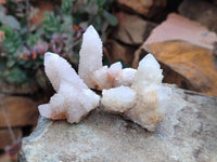 Natural White Spirit Quartz Crystals x 35 From Boekenhouthoek, South Africa