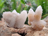 Natural White Spirit Quartz Crystals x 35 From Boekenhouthoek, South Africa