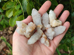 Natural White Spirit Quartz Crystals x 35 From Boekenhouthoek, South Africa - Toprock Gemstones and Minerals 