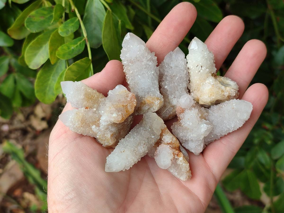Natural White Spirit Quartz Crystals x 35 From Boekenhouthoek, South Africa - Toprock Gemstones and Minerals 