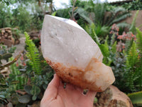 Polished Large Clear Quartz Crystal x 1 From Madagascar