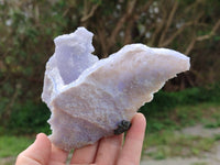 Natural Etched Blue Chalcedony Geodes x 6 From Nsanje, Malawi