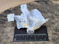 Natural Etched Blue Chalcedony Geodes x 6 From Nsanje, Malawi