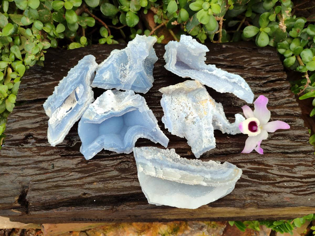 Natural Etched Blue Chalcedony Geodes x 6 From Nsanje, Malawi - Toprock Gemstones and Minerals 