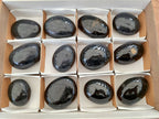 Polished Black Tourmaline Galets x 12 From Madagascar - Toprock Gemstones and Minerals 