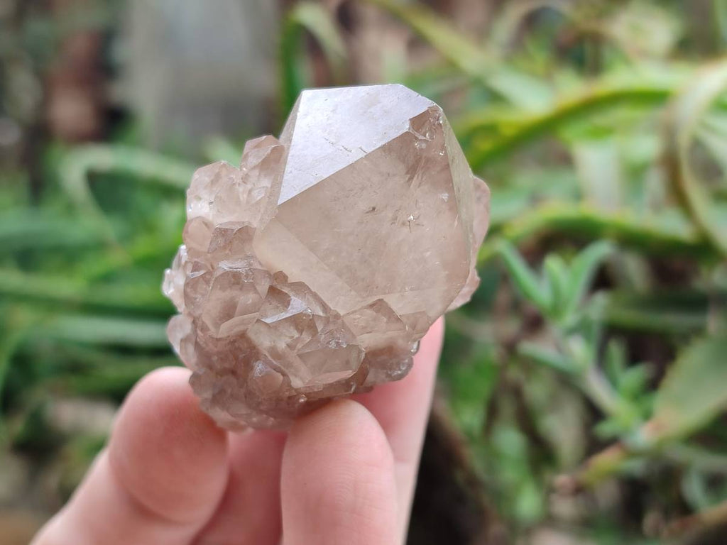 Natural Selected Luena Smokey Phantom Quartz Clusters and Crystals x 12 From Congo - Toprock Gemstones and Minerals 