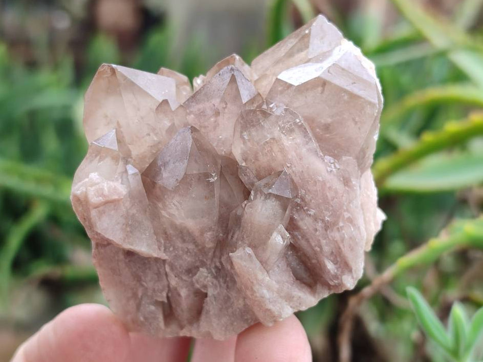 Natural Selected Luena Smokey Phantom Quartz Clusters and Crystals x 12 From Congo - Toprock Gemstones and Minerals 
