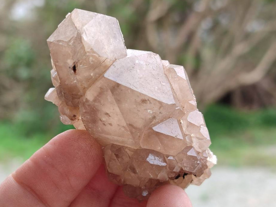 Natural Selected Luena Smokey Phantom Quartz Clusters and Crystals x 12 From Congo - Toprock Gemstones and Minerals 