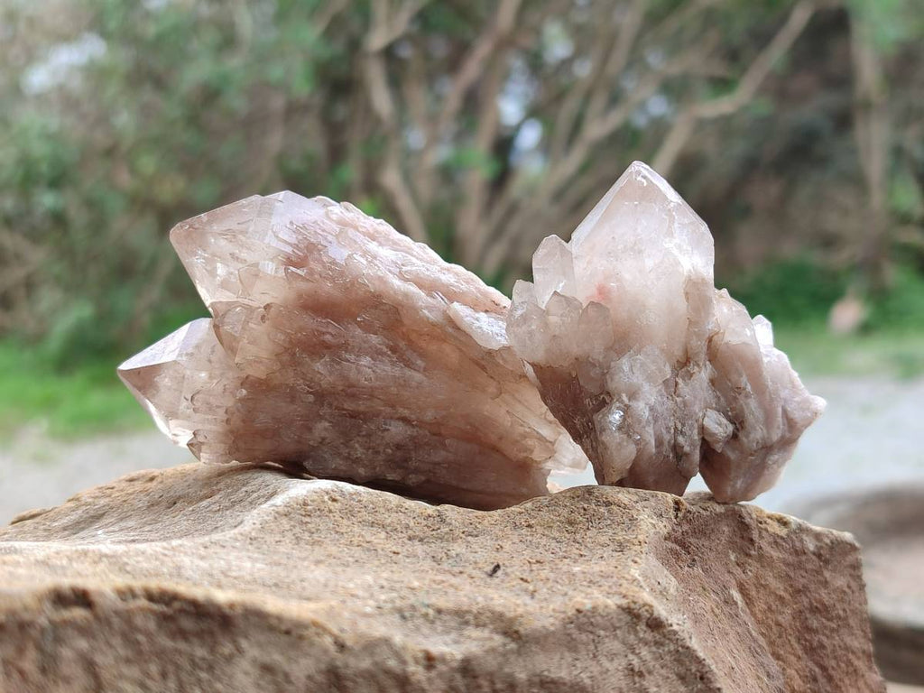 Natural Selected Luena Smokey Phantom Quartz Clusters and Crystals x 12 From Congo - Toprock Gemstones and Minerals 