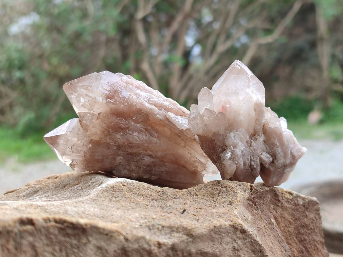 Natural Selected Luena Smokey Phantom Quartz Clusters and Crystals x 12 From Congo - Toprock Gemstones and Minerals 
