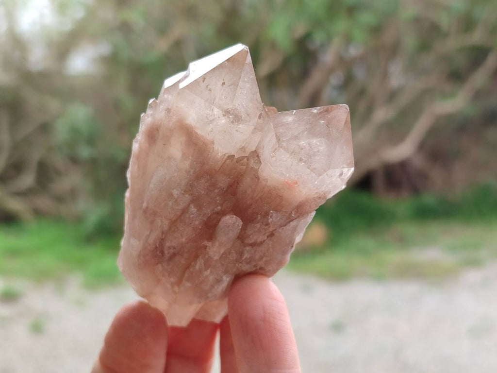 Natural Selected Luena Smokey Phantom Quartz Clusters and Crystals x 12 From Congo - Toprock Gemstones and Minerals 