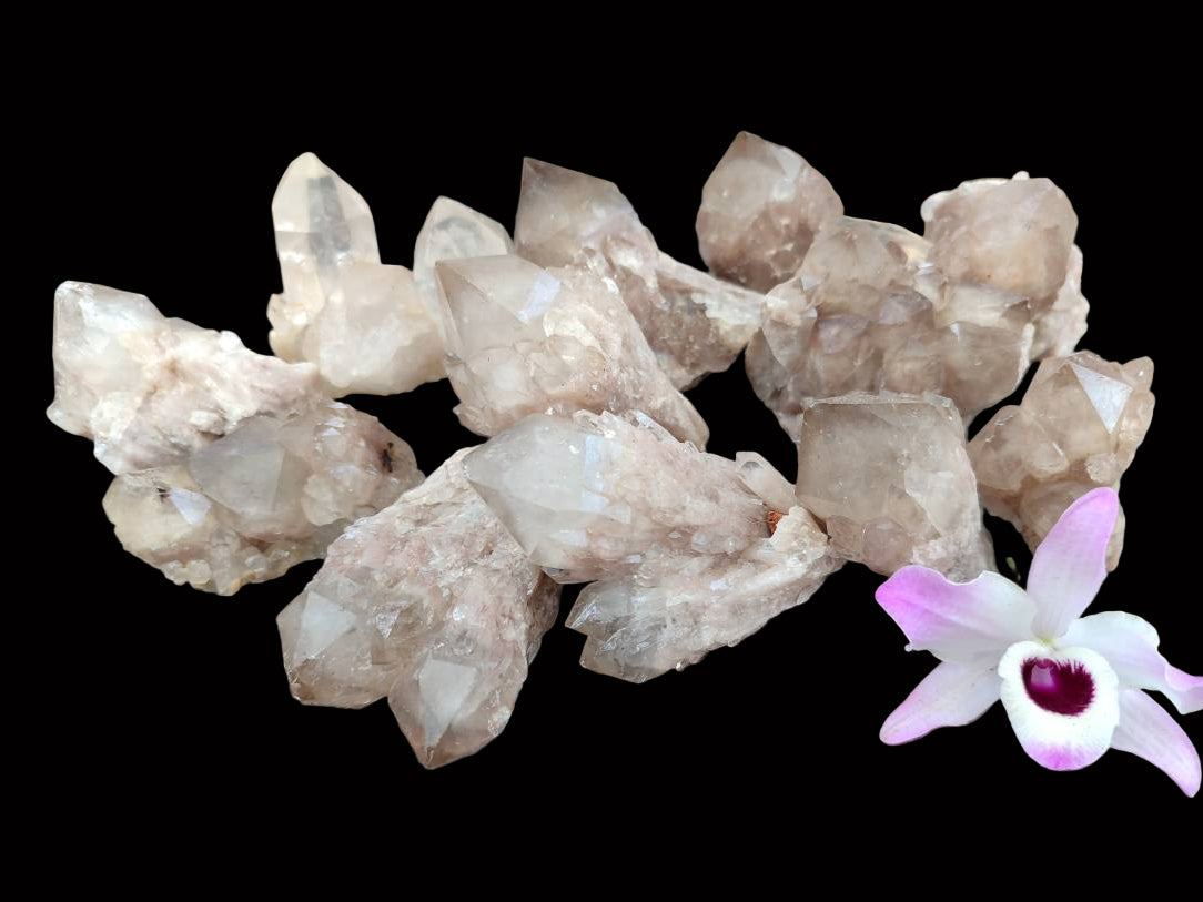 Natural Selected Luena Smokey Phantom Quartz Clusters and Crystals x 12 From Congo - Toprock Gemstones and Minerals 