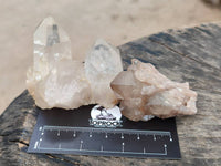 Natural Selected Luena Smokey Phantom Quartz Clusters and Crystals x 12 From Congo